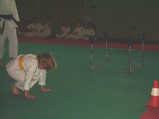 Image description